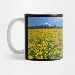 Rapeseed field Mug